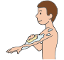 Wash Arms