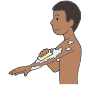 Wash Arms