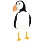 Puffin Stencil