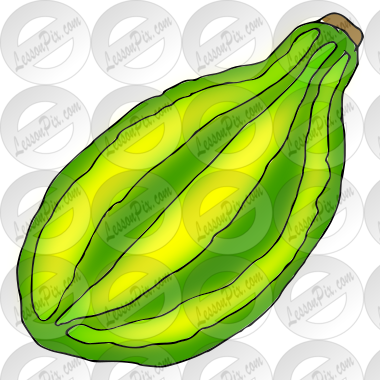 Gourd