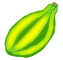 Gourd