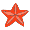 Starfish Picture