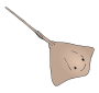 Ray