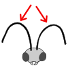 Antenna