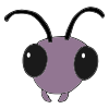 Insect Head