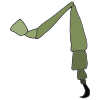 Insect Leg