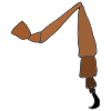 Insect Leg