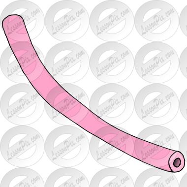 Pool Noodle