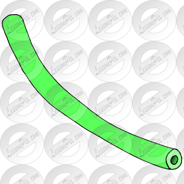 Pool Noodle