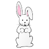 It_s+the+rabbit_s. Picture
