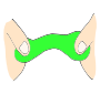 Stretch Putty