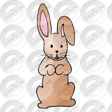 Bunny