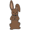 Chocolate Bunny Picture