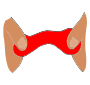 Stretch Putty