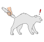 Pull tail