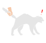 Pull tail