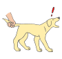 Pull Tail