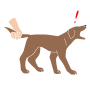 Pull Tail