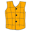 Vest Picture