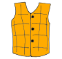 Vest  Picture
