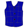 Vest Picture