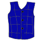 Vest  Picture