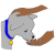 Dog Treat