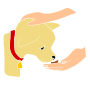 Treat