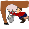 Milk a Cow