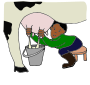 Milk a Cow  Picture
