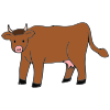 Cow