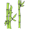 Bamboo Picture