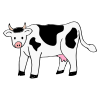 The+cow+_________. Picture