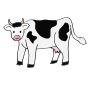 Cow