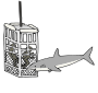 Shark Cage