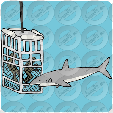 Shark Cage