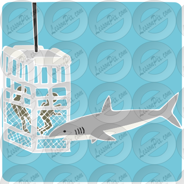 Shark Cage