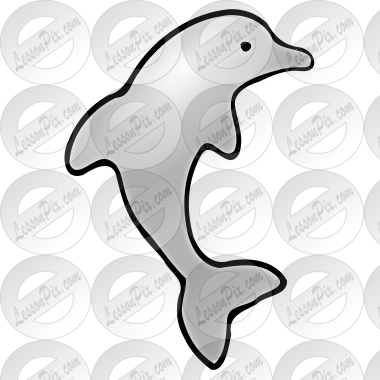 Dolphin