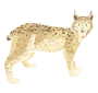 Lynx Stencil