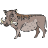 Warthog Picture