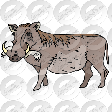 Warthog