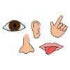 Senses