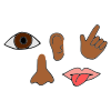 Senses