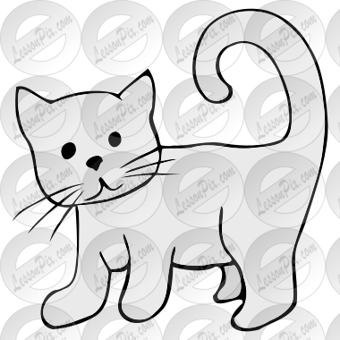 Kitten