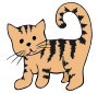 Kitten
