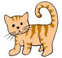 Kitten