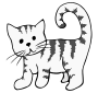 Kitten