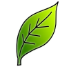 Leaf