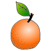 Orange Picture