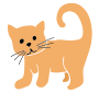 Kitten